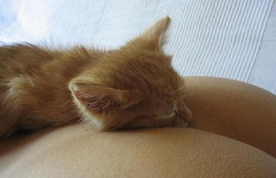 [tranquilidade+_mulher.jpg]