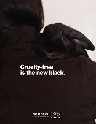 This blog is fur free