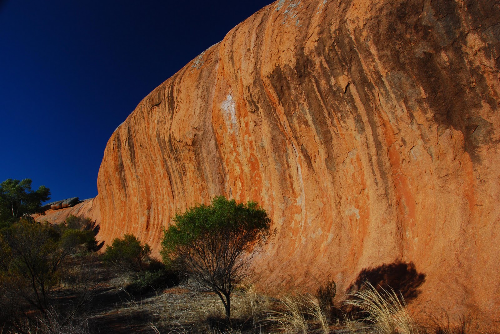 The Boondockers Gawler Ranges