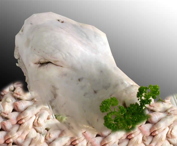 1tete-de-veau.jpg 1tete-de-veau.jpg