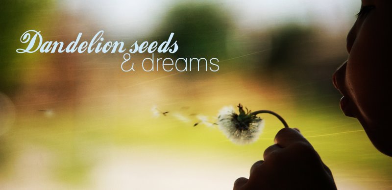 Dandelion Seeds and Dreams