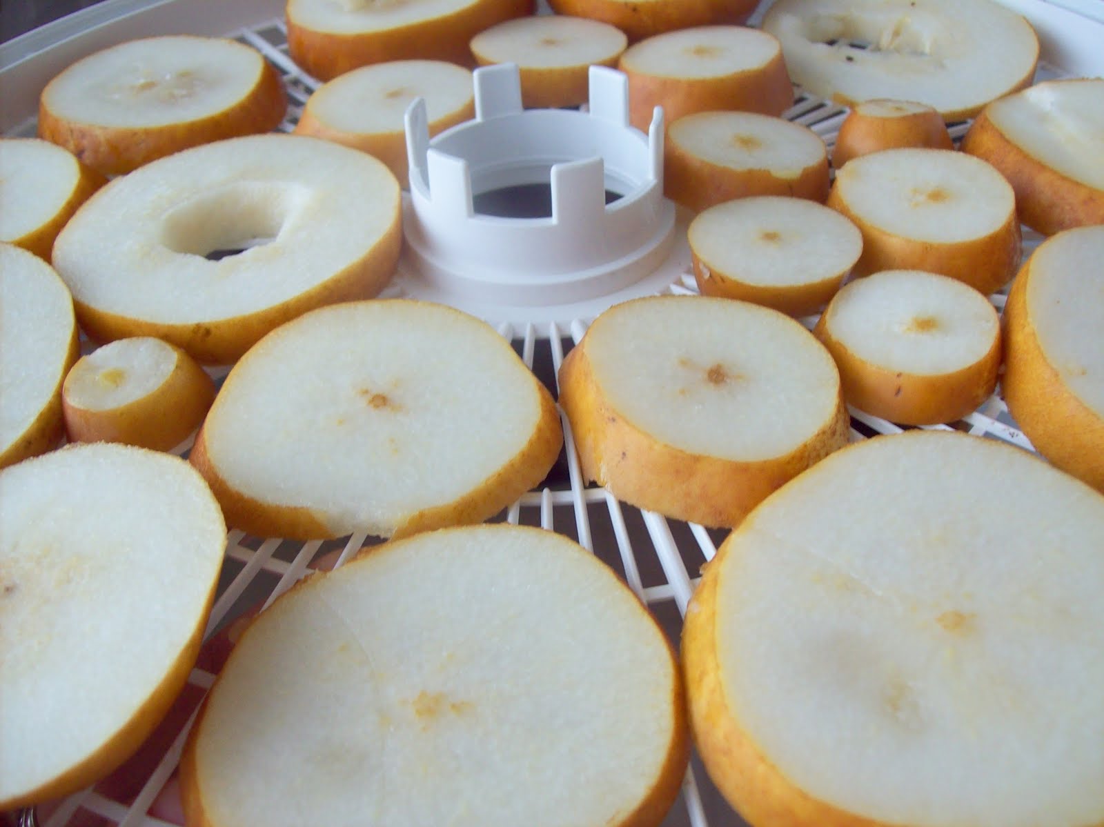 [Pears+to+dehydrate.jpg]