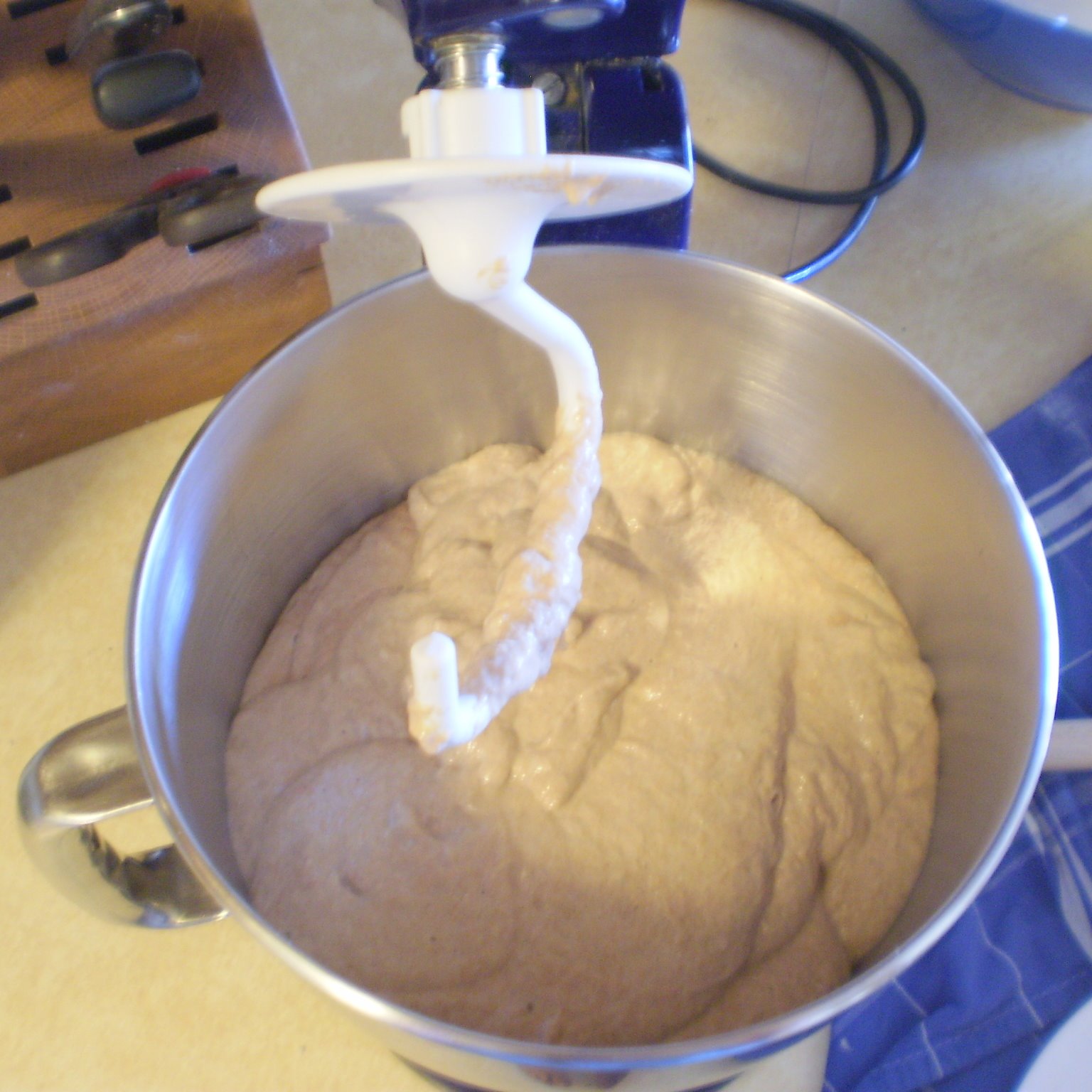 [soaked+wheat+bread+part+2.jpg]