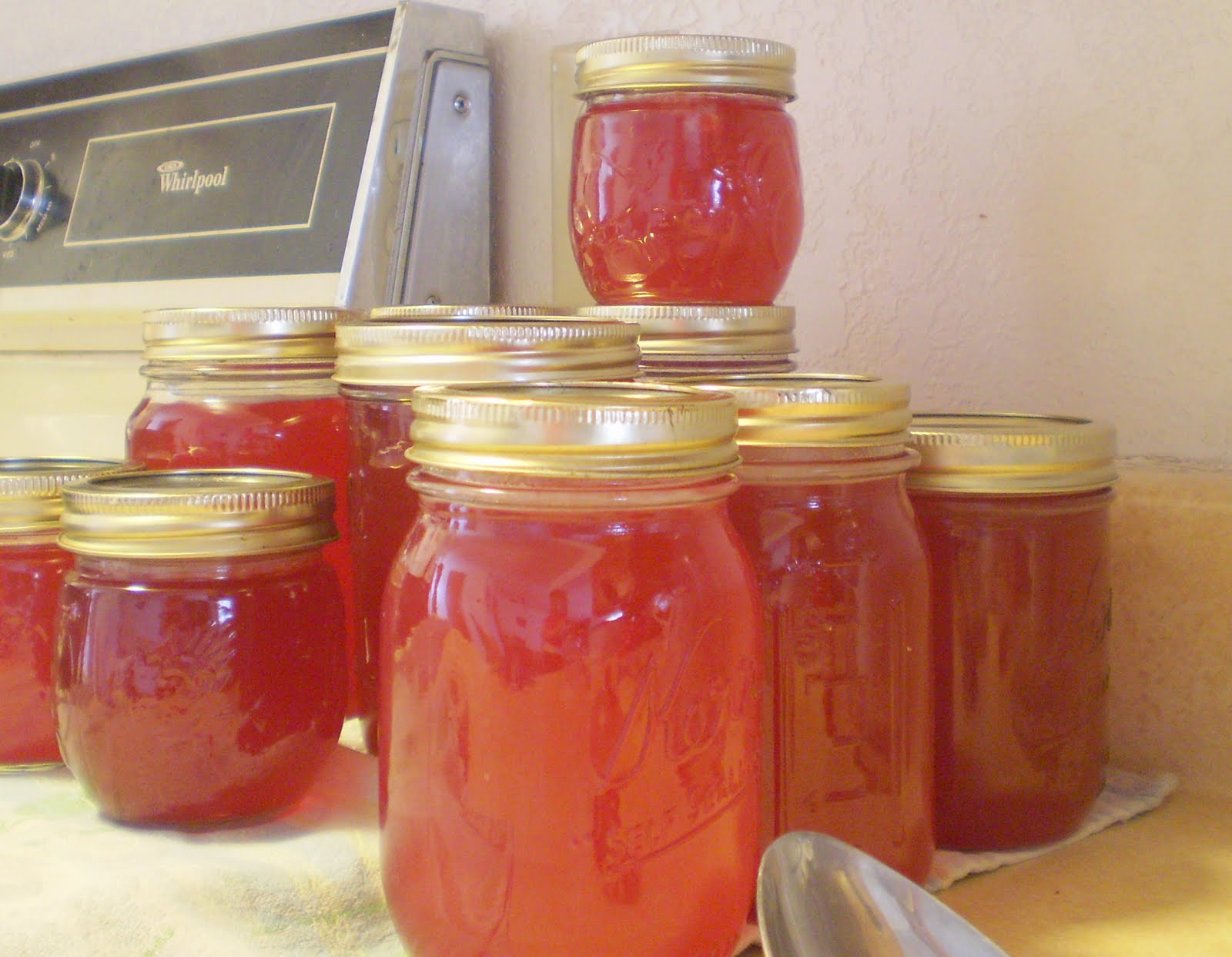 [crabapple+jelly+in+jars.jpg]