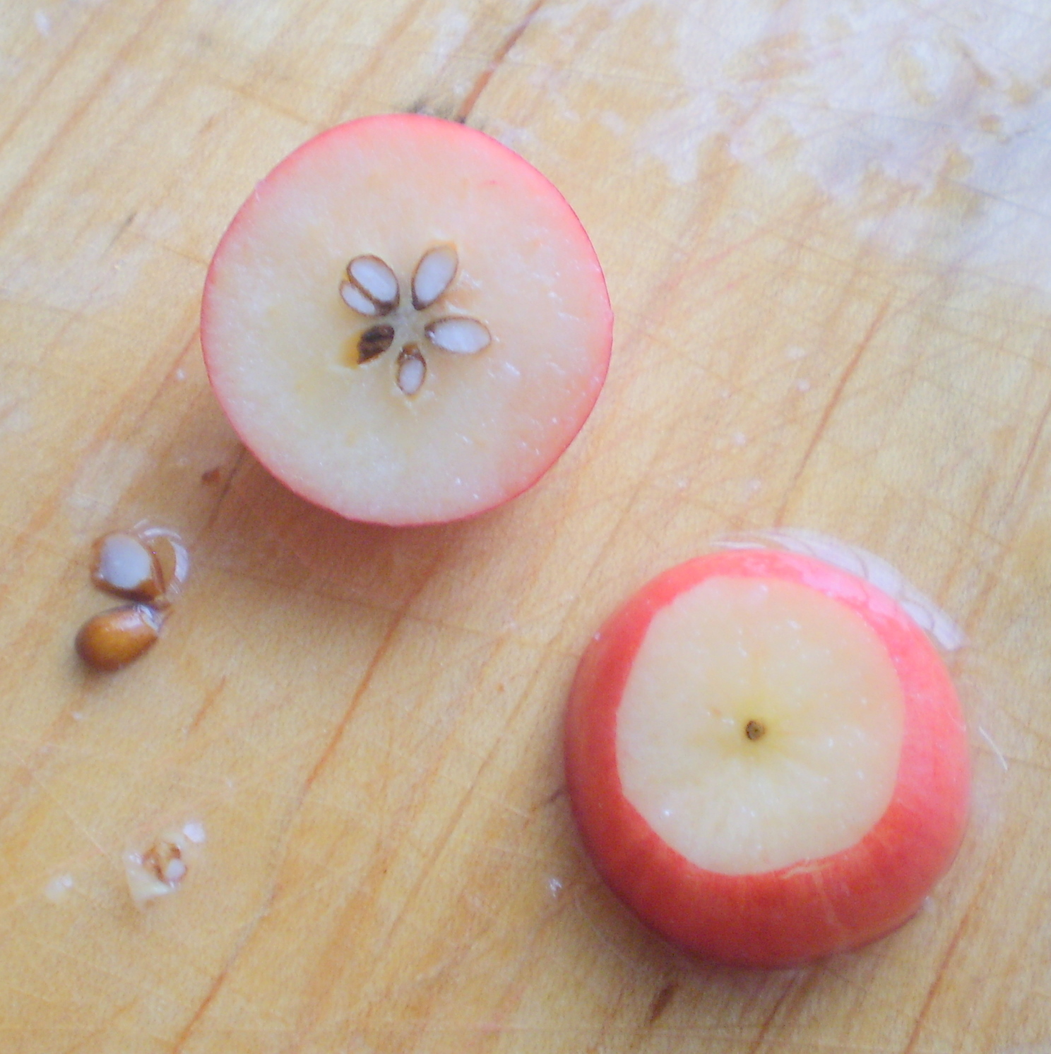 [cut+crabapple.jpg]