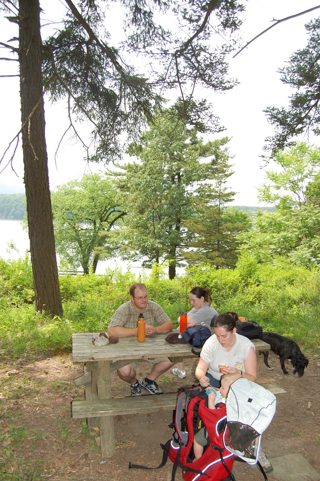 Just Humor Me Mills Mansion