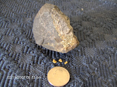 Gold/platinum ore/nuggets