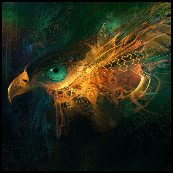 [wilcock_eagle_web.jpg]