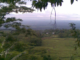 Pemandangan