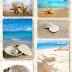 Κοχύλια στην άμμο - Shells in the sand 7000x5000