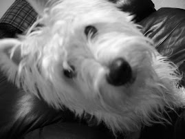 My puppy
