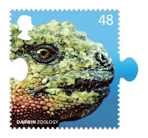 darwin iguana stamp