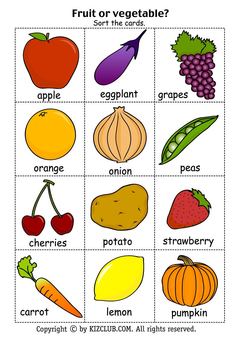 ENGLISH IS FUN FRUITS OR VEGETABLE?