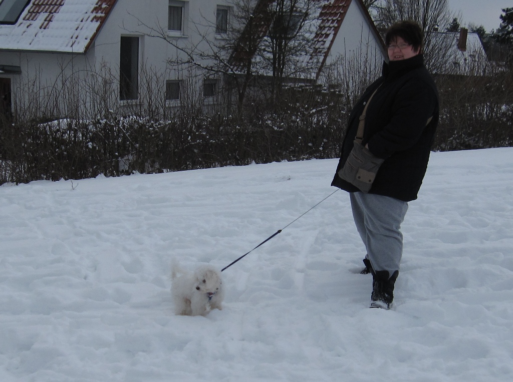 Unser Hund Kimba Beim Schlittenfahren