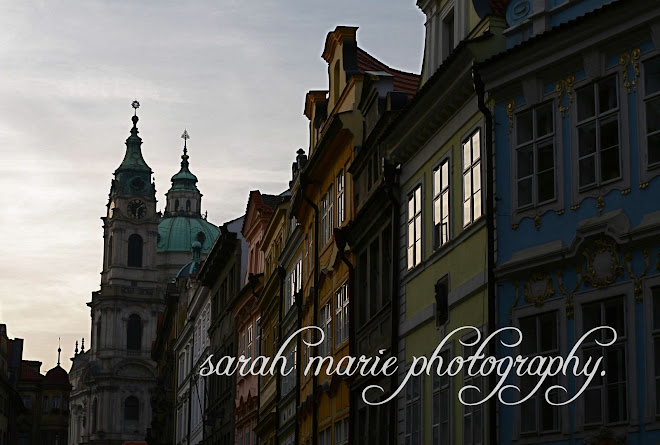 sarah marie photography