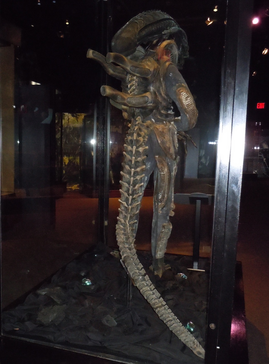 Hollywood Movie Costumes and Props: Alien movie costume from James