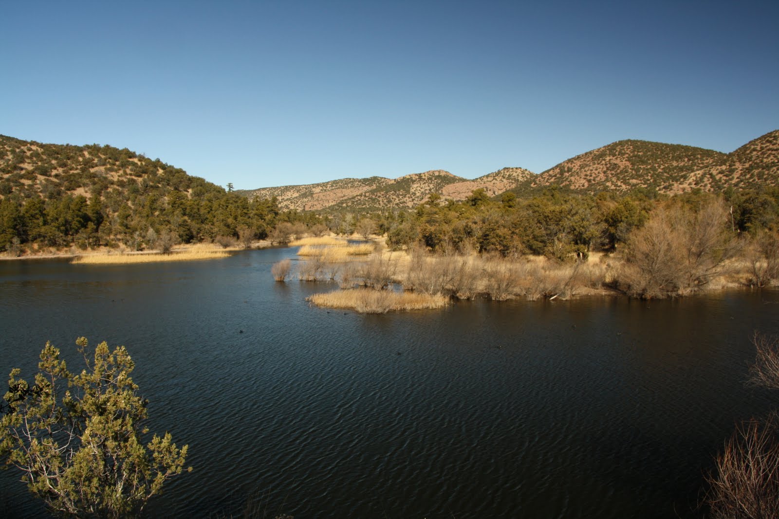 Dog Snot On My Windshield Parker Canyon Lake Shore Trail