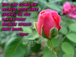 roses thorns quotes flower rose flowers quote funny complaining beauty brand sayings comes famous because pink low message am happiness