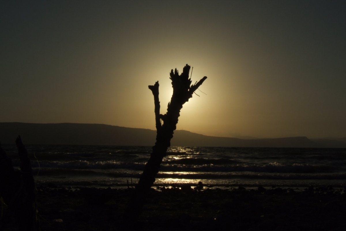 [dscf5899-1.jpg]