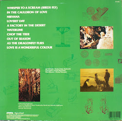 icicle works 1984 lp arista mcnabb ian wonderful colour