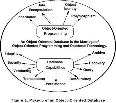 Object Oriented Database
