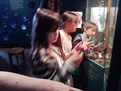 Lots to see
