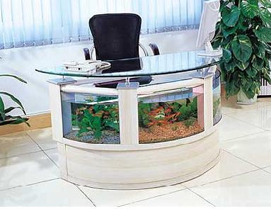 [Desk+Fish+Tank.jpg]
