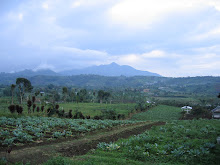 Pematang Danau Curup