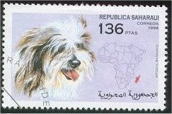 Coton de Tulear Stamp