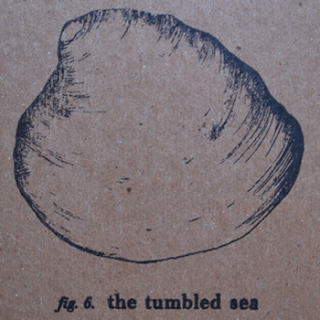 The Tumbled Sea - 2 альбома (2008-2009)