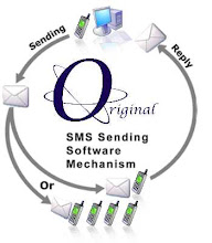 Mechanism of SMS Marketing Software