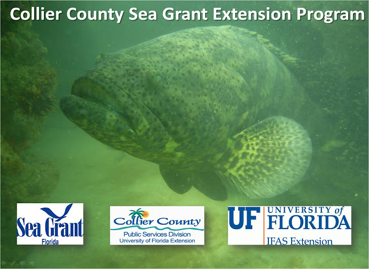 Stay In Touch With Collier County's Sea Grant Extension Program