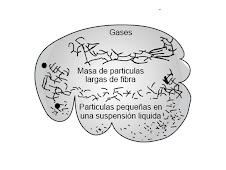 Distribución de las partículas de alimento en el rumen