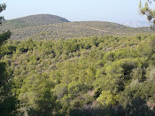 ΖΩΗ ΜΑΣ, ΤΟ ΠΟΙΚΙΛΟ.  ΜΕΛΛΟΝ ΜΑΣ, ΤΟ ΠΡΑΣΙΝΟ.