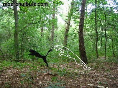 நல்வரவுக்கு நன்றி..!: LOGOS in WILD