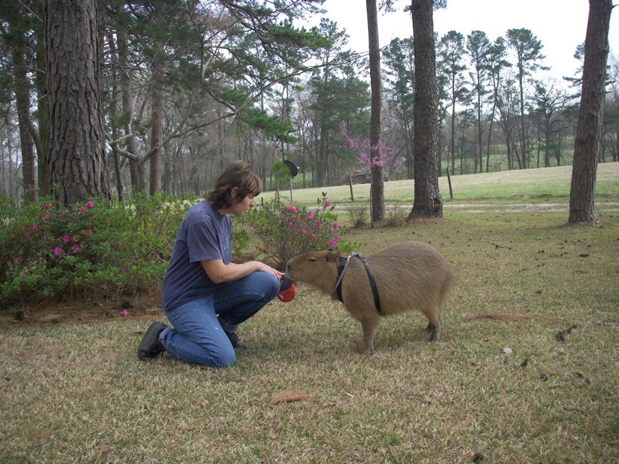 [2009_02_27_07_sCaplinAbbyNd.jpg]