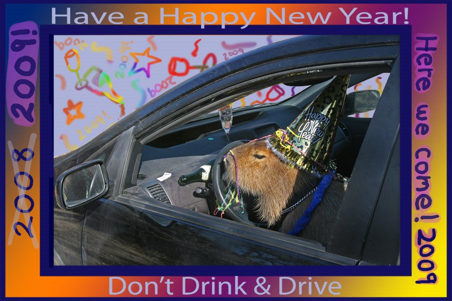 [2008_12_29_CaplinNewYear.jpg]