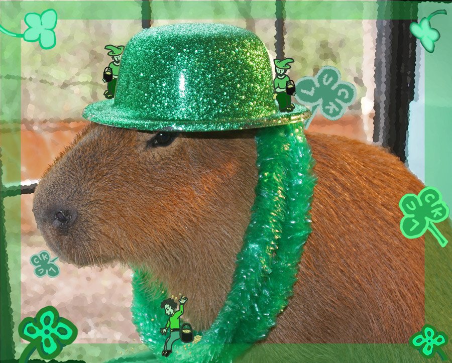 [2009_03_14_01_sCaplinStPatsDay.jpg]