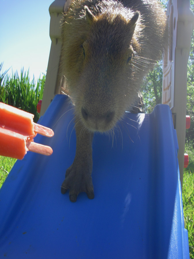 [2009_04_19_07_sCaplinSlide.jpg]