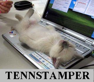 TENNSTAMPER