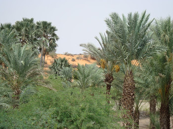 Le Sud  mauritanien