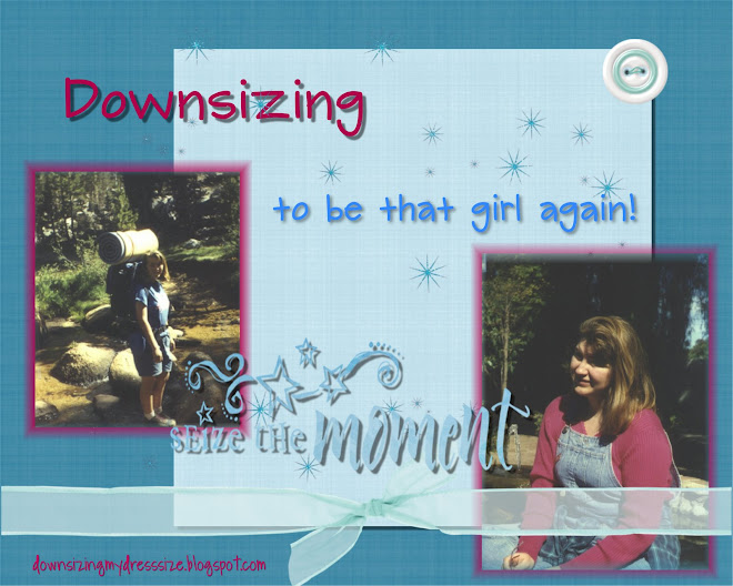 Down Size My Dress Size