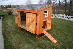 chicken coop coops horse much barns