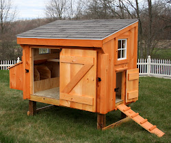 chicken coop mini coops plans designs chickens wheelbarrow amish pen option mobile building houses tribe