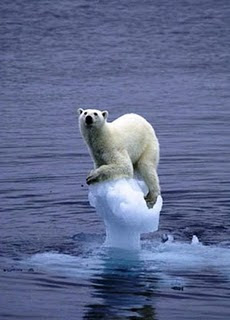 GLOBAL WARMING...!