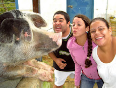 Los tres cochinitos son visitados por los Alumnos de Turismo