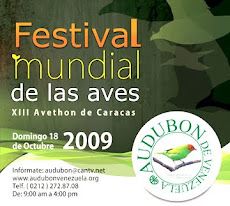 XIII Avethon de Caracas, este próximo domingo 18 de octubre en El Hatillo