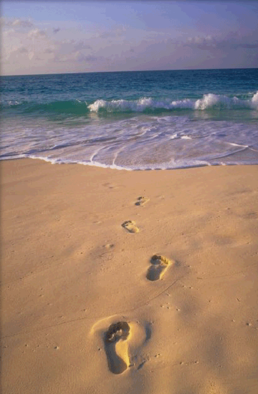 [feet-in-sand.gif]