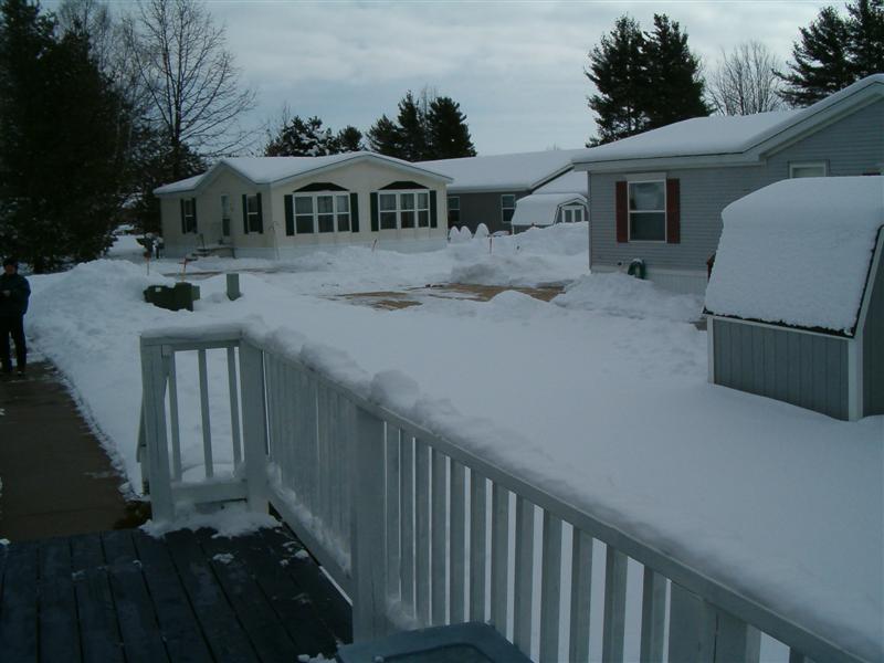 Hidden Forest Home for sale Ludington MI