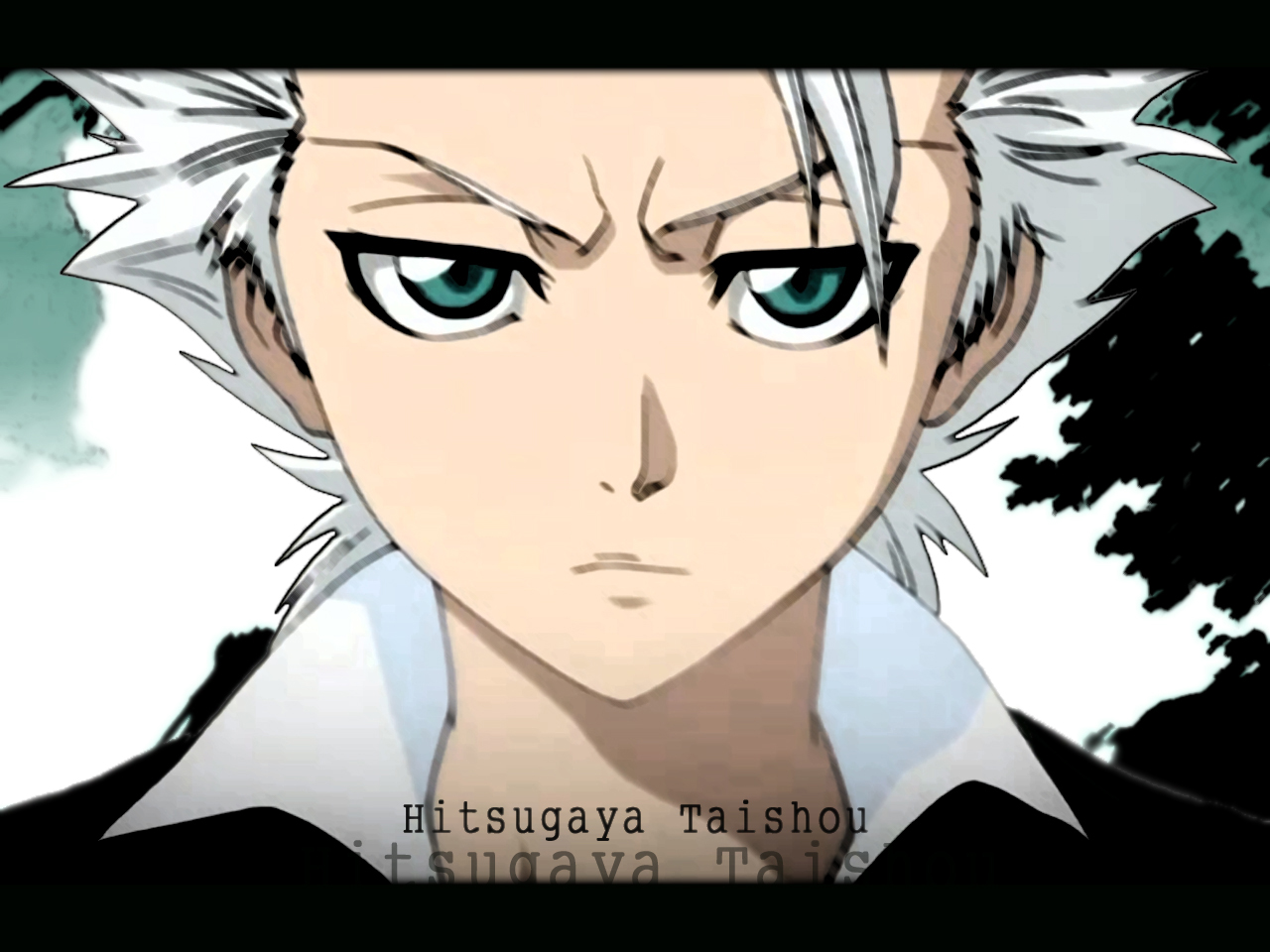 [hitsugaya]